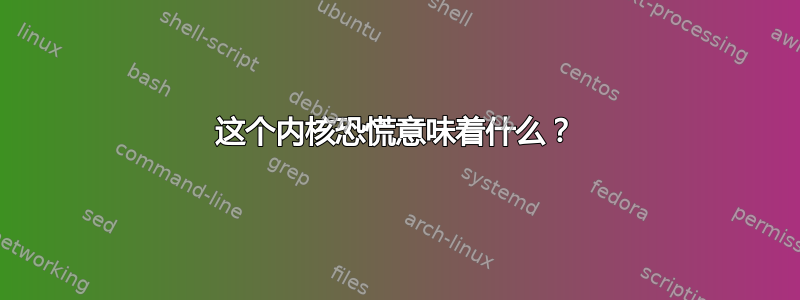 这个内核恐慌意味着什么？