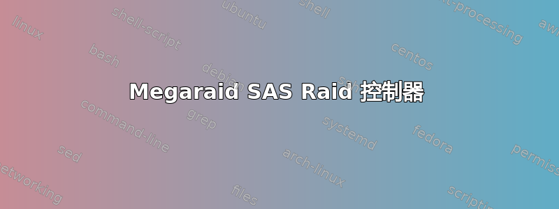 Megaraid SAS Raid 控制器