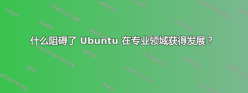 什么阻碍了 Ubuntu 在专业领域获得发展？