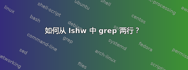 如何从 lshw 中 grep 两行？