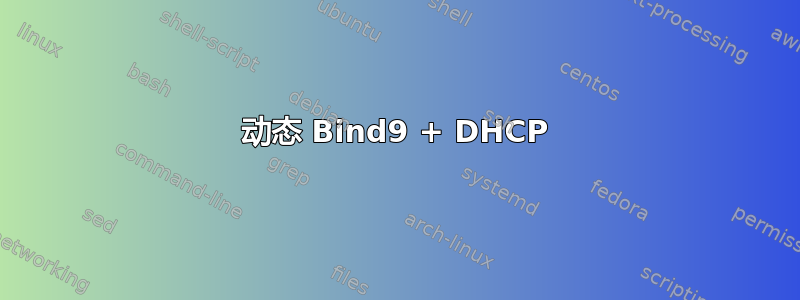 动态 Bind9 + DHCP