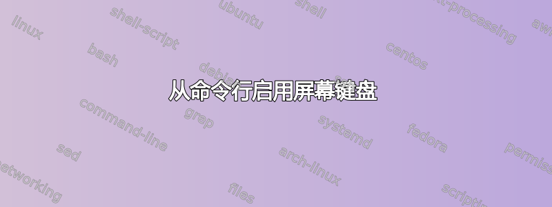 从命令行启用屏幕键盘