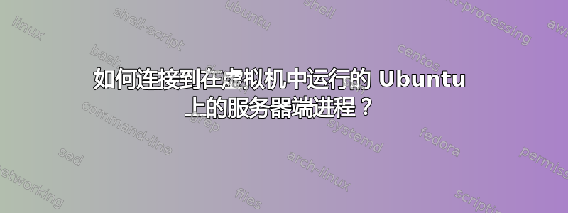 如何连接到在虚拟机中运行的 Ubuntu 上的服务器端进程？