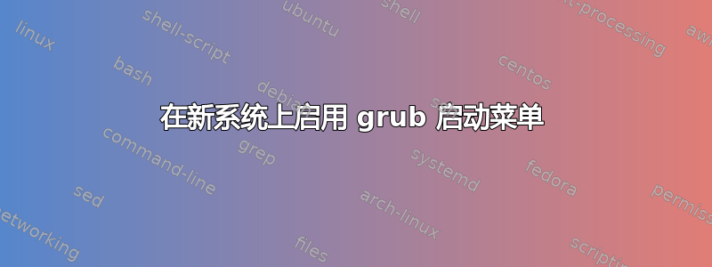 在新系统上启用 grub 启动菜单