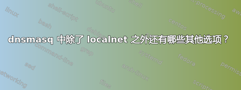 dnsmasq 中除了 localnet 之外还有哪些其他选项？