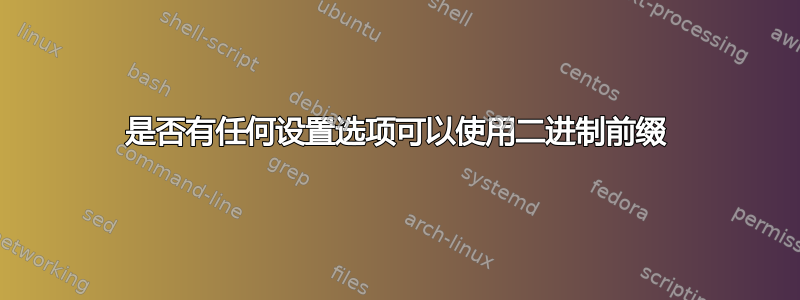 是否有任何设置选项可以使用二进制前缀