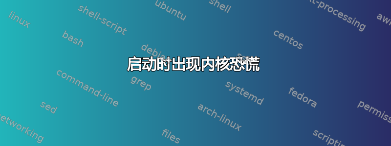 启动时出现内核恐慌