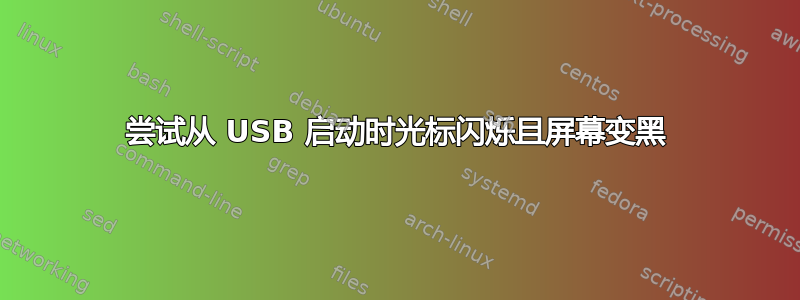 尝试从 USB 启动时光标闪烁且屏幕变黑