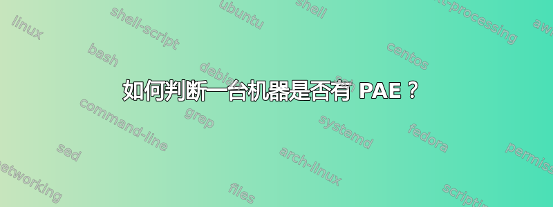 如何判断一台机器是否有 PAE？