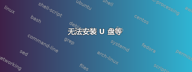 无法安装 U 盘等