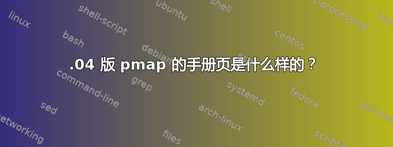 12.04 版 pmap 的手册页是什么样的？