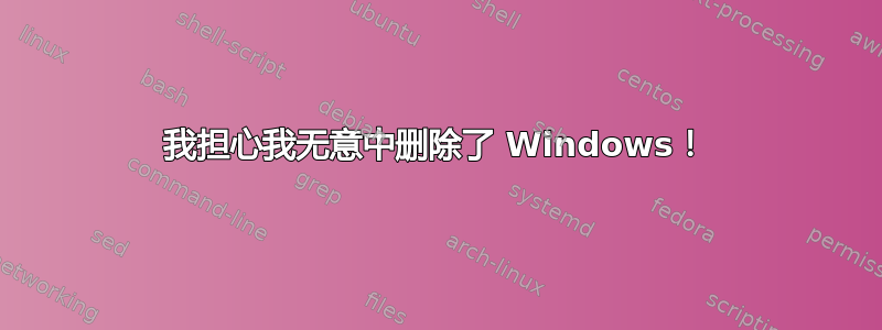 我担心我无意中删除了 Windows！