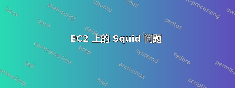 EC2 上的 Squid 问题