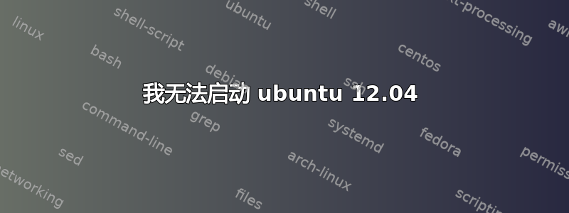 我无法启动 ubuntu 12.04