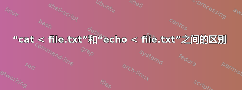 “cat < file.txt”和“echo < file.txt”之间的区别