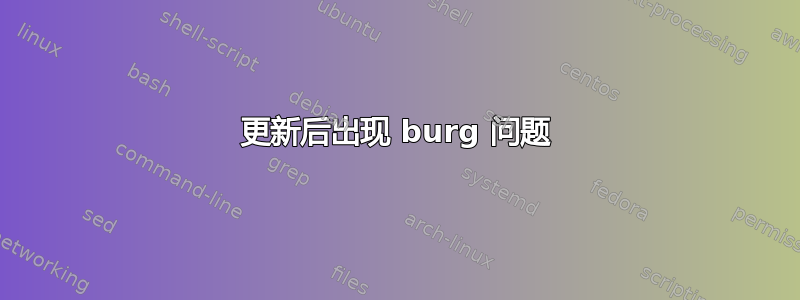 更新后出现 burg 问题