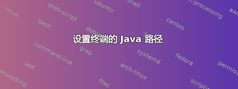 设置终端的 Java 路径