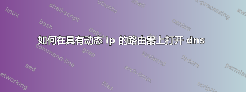 如何在具有动态 ip 的路由器上打开 dns