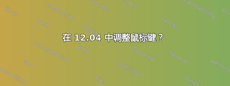 在 12.04 中调整鼠标键？