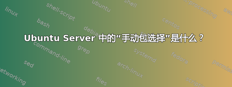 Ubuntu Server 中的“手动包选择”是什么？