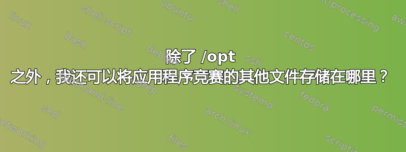 除了 /opt 之外，我还可以将应用程序竞赛的其他文件存储在哪里？