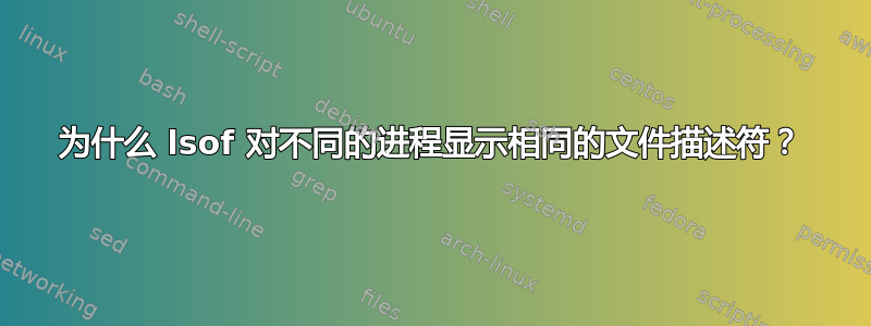 为什么 lsof 对不同的进程显示相同的文件描述符？