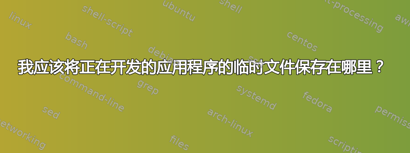 我应该将正在开发的应用程序的临时文件保存在哪里？