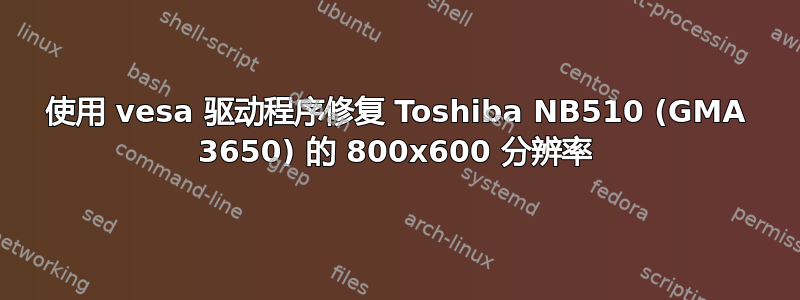 使用 vesa 驱动程序修复 Toshiba NB510 (GMA 3650) 的 800x600 分辨率