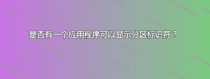 是否有一个应用程序可以显示分区标识符？