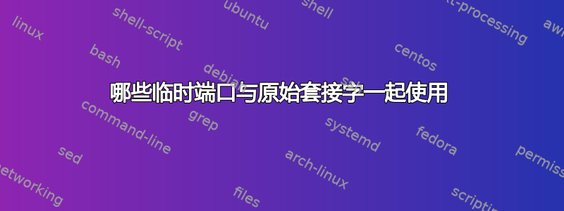 哪些临时端口与原始套接字一起使用