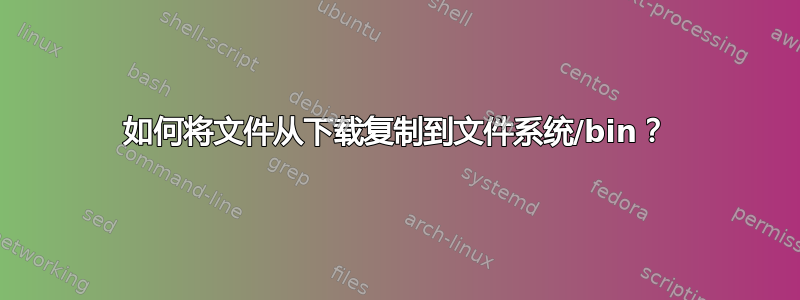 如何将文件从下载复制到文件系统/bin？