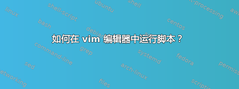 如何在 vim 编辑器中运行脚本？