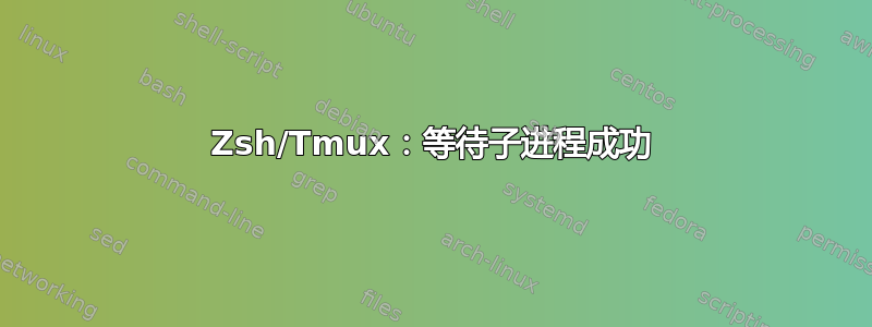 Zsh/Tmux：等待子进程成功