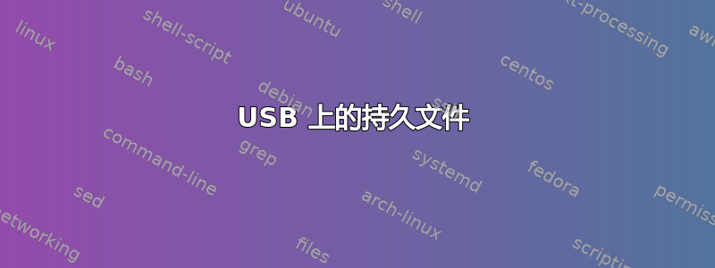 USB 上的持久文件