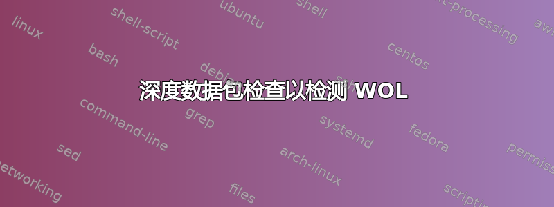 深度数据包检查以检测 WOL