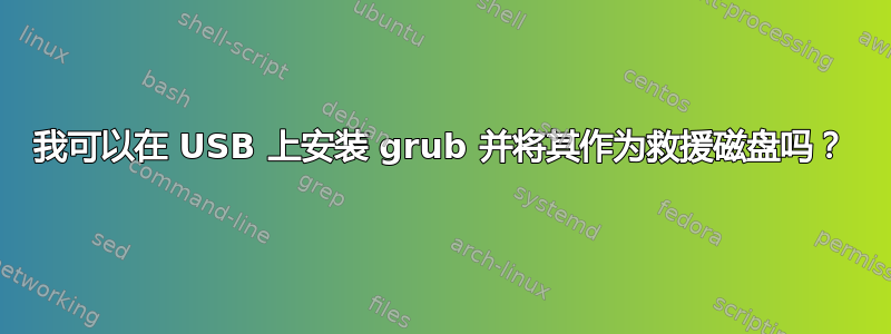 我可以在 USB 上安装 grub 并将其作为救援磁盘吗？