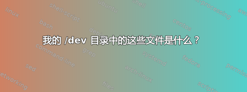 我的 /dev 目录中的这些文件是什么？