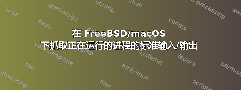 在 FreeBSD/macOS 下抓取正在运行的进程的标准输入/输出