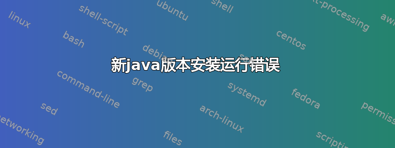 新java版本安装运行错误