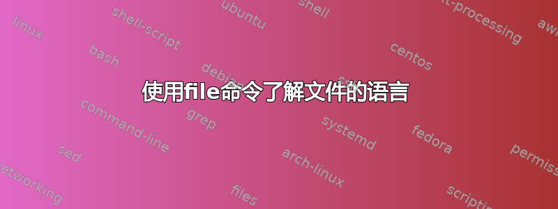 使用file命令了解文件的语言