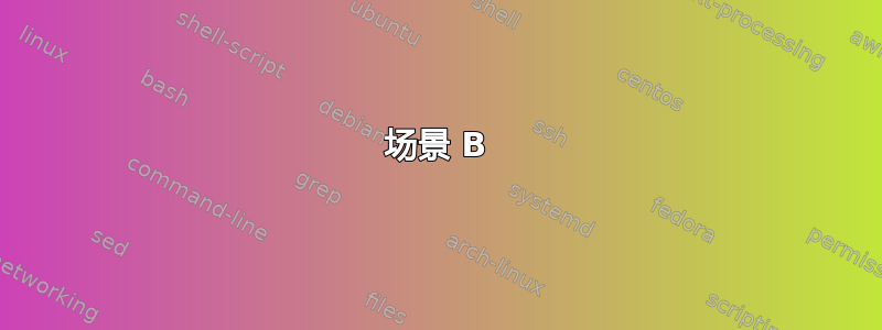 场景 B