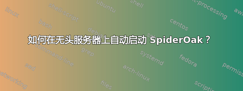 如何在无头服务器上自动启动 SpiderOak？