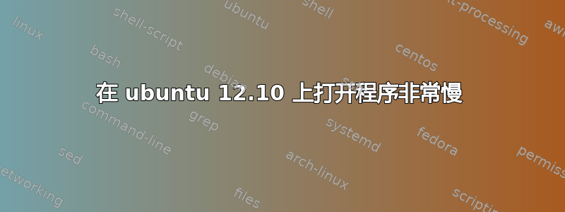 在 ubuntu 12.10 上打开程序非常慢