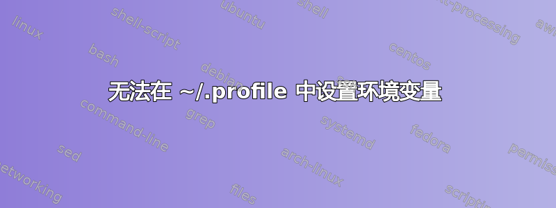 无法在 ~/.profile 中设置环境变量