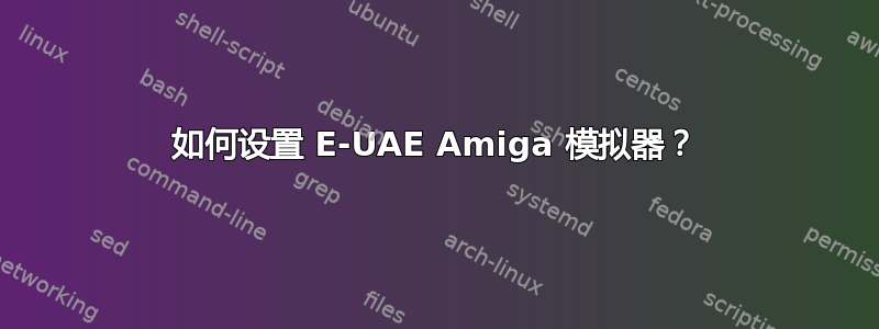 如何设置 E-UAE Amiga 模拟器？