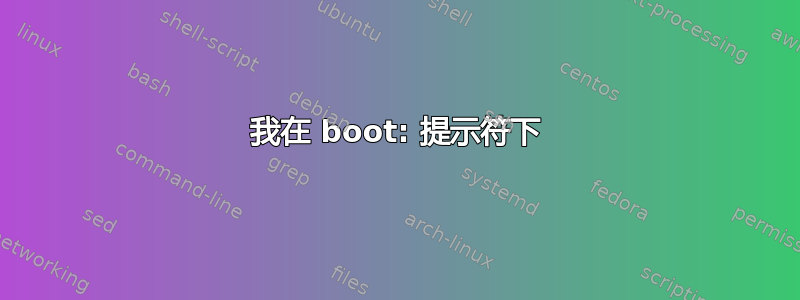 我在 boot: 提示符下