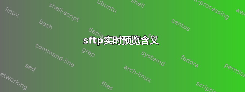 sftp实时预览含义