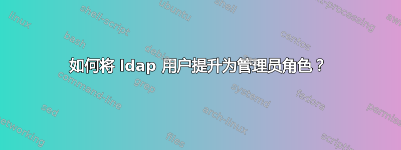 如何将 ldap 用户提升为管理员角色？