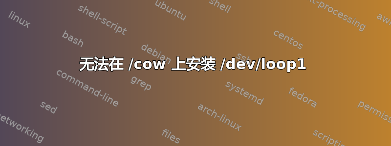 无法在 /cow 上安装 /dev/loop1