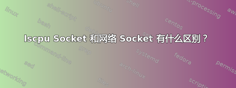 lscpu Socket 和网络 Socket 有什么区别？